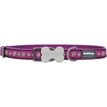Red Dingo Red Dingo DC-DC-PU-ME Dog Collar Design Daisy Chain Purple; Medium DC-DC-PU-ME